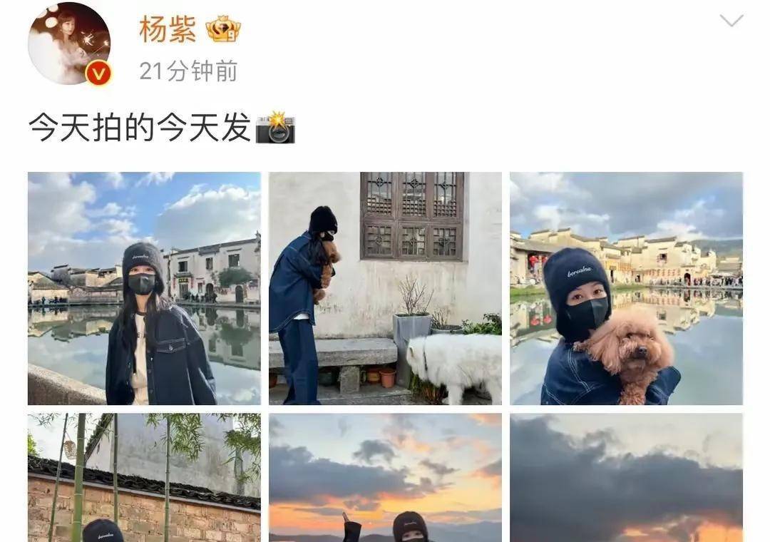 王思聪微博大骂杨紫, 杨紫只回了16个字