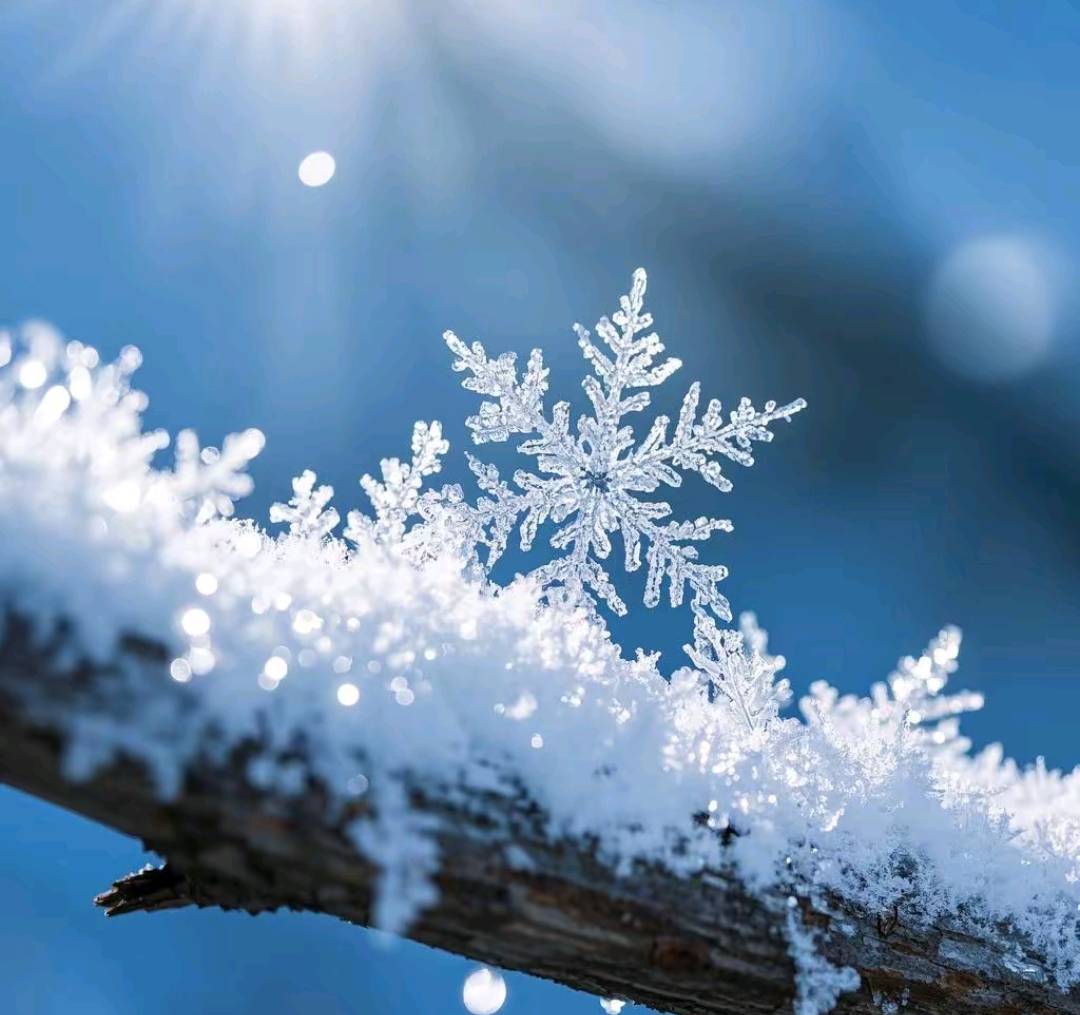 纯洁的雪花,唯美的意境