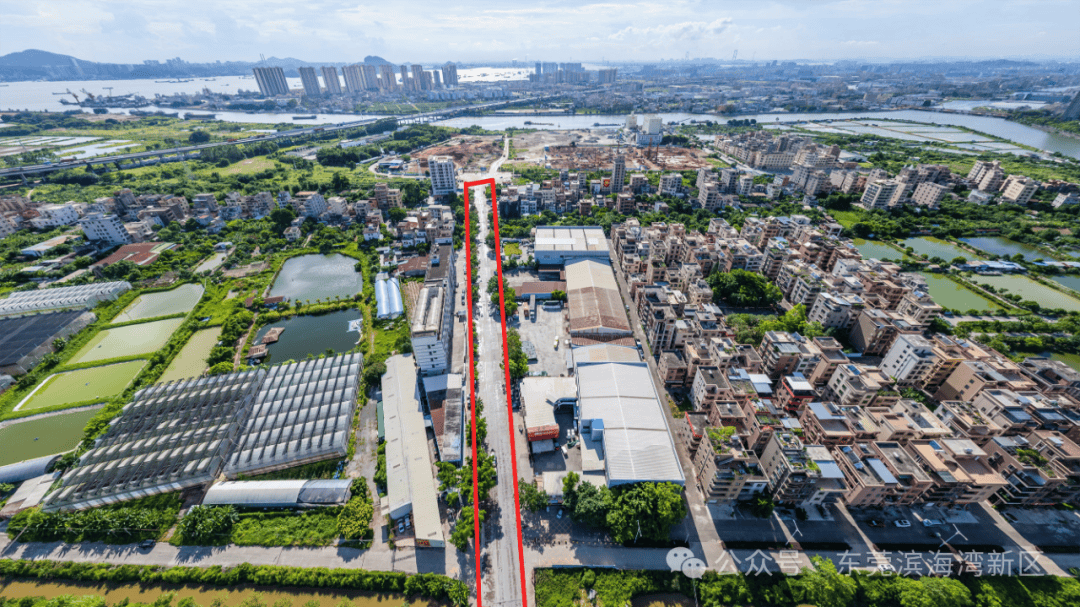 滨海湾威远岛交通建设加速：多条道路齐头并进 滨海湾威远岛：交通建设助力城市发展新阶段