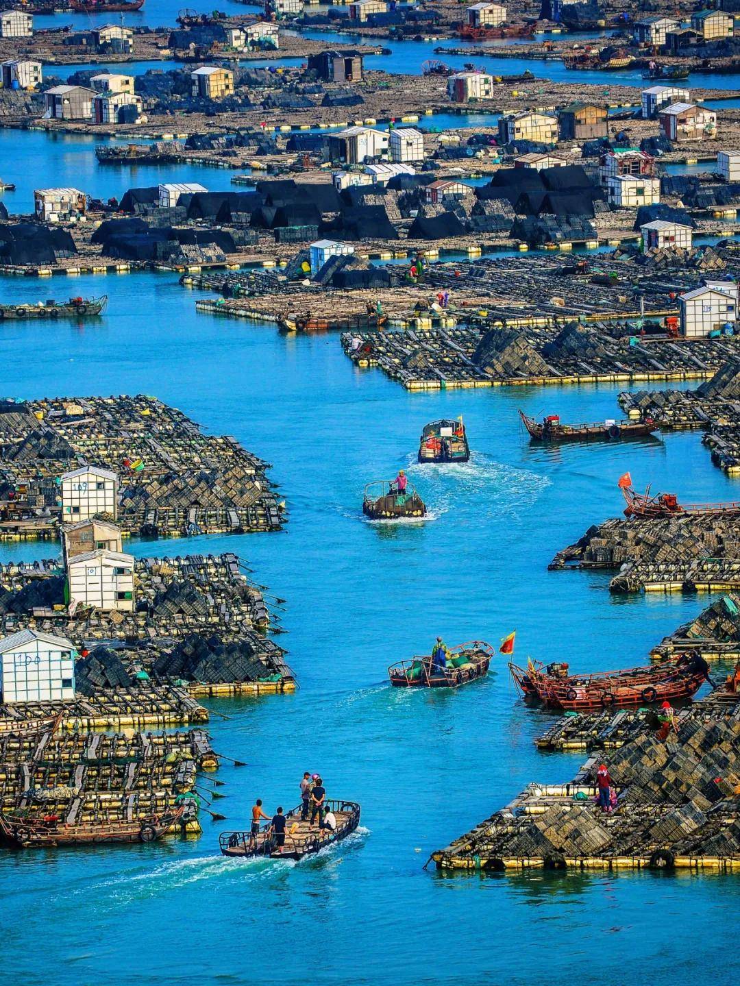 正月十八到莆田,看抬轿冲海闹元宵