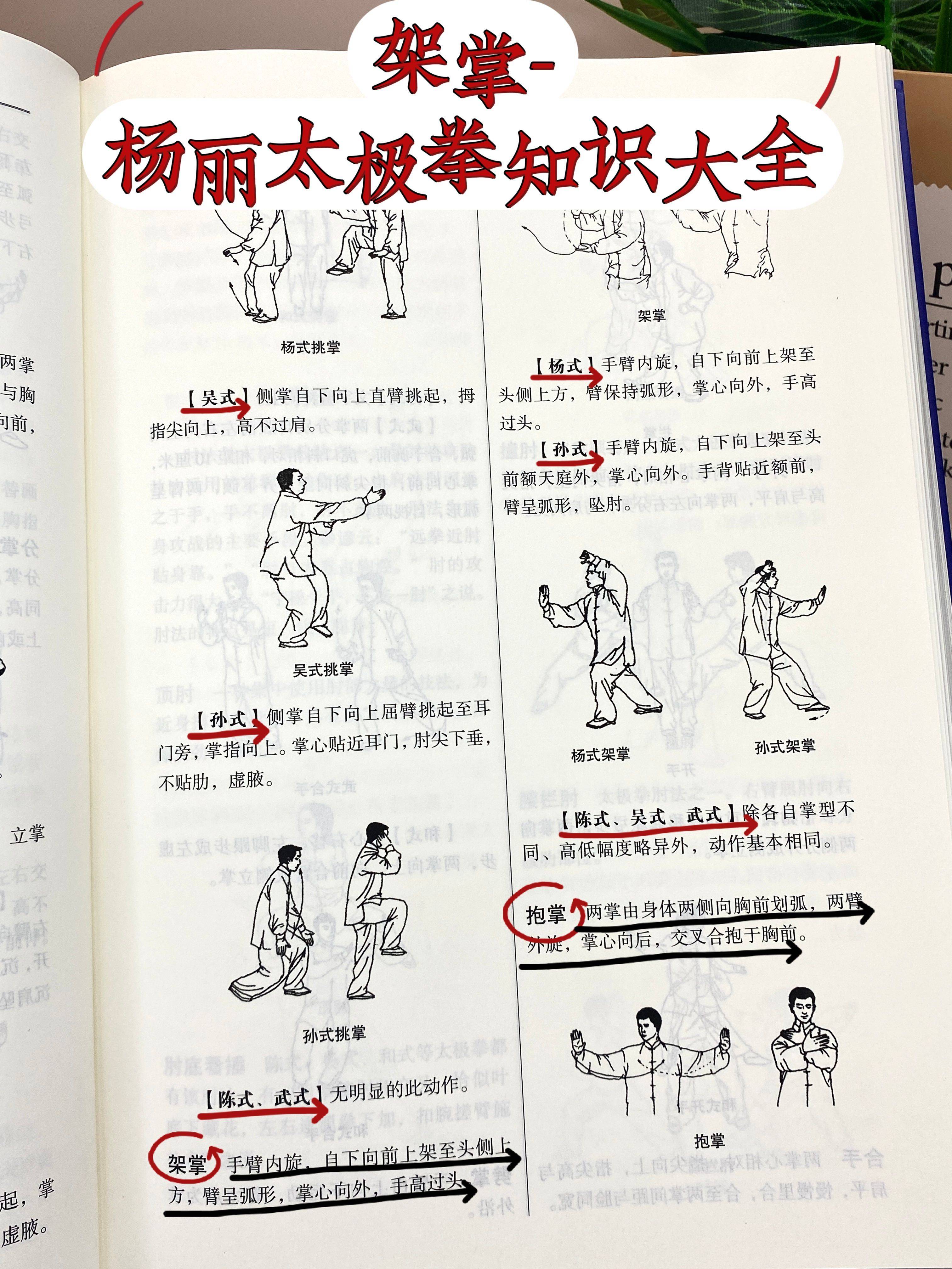 养生太极掌第三套演练(正面)(第三套太极掌教学视频)