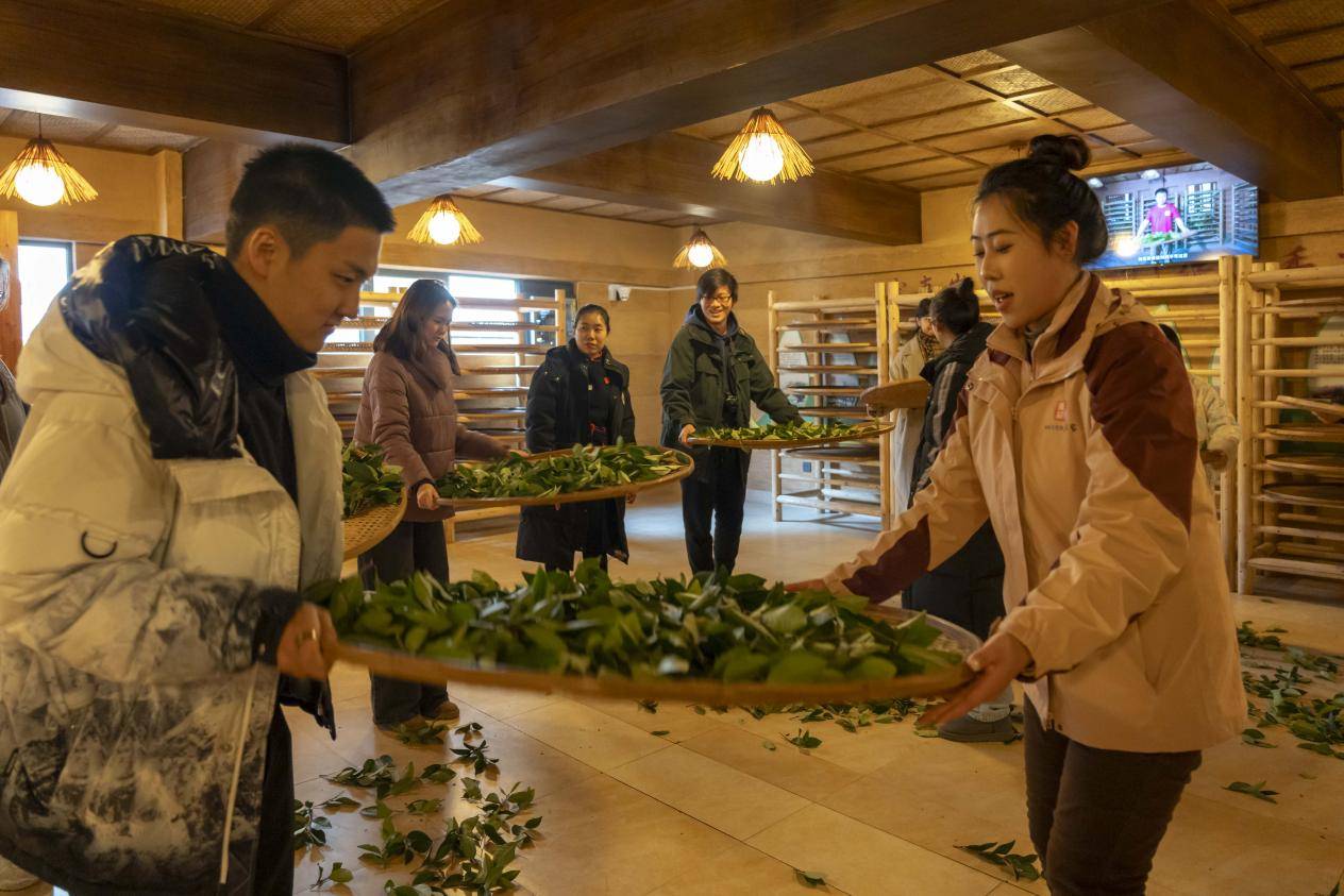 一荼雅事增进中美文化交流｜国际茶研学～中国茶文化之旅泛亚电竞平台(图2)