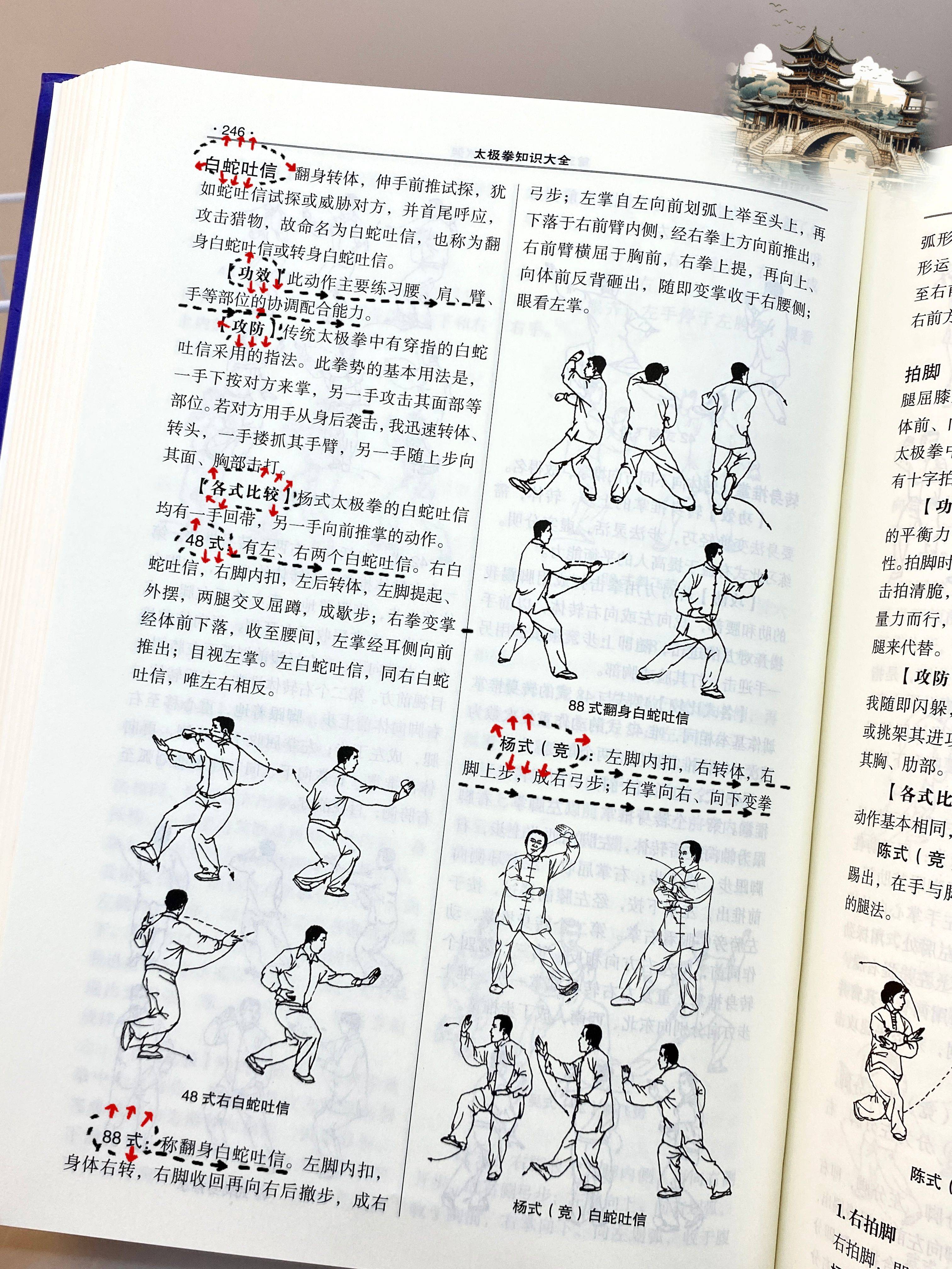 养生太极掌第三套背向口令教学的简单介绍