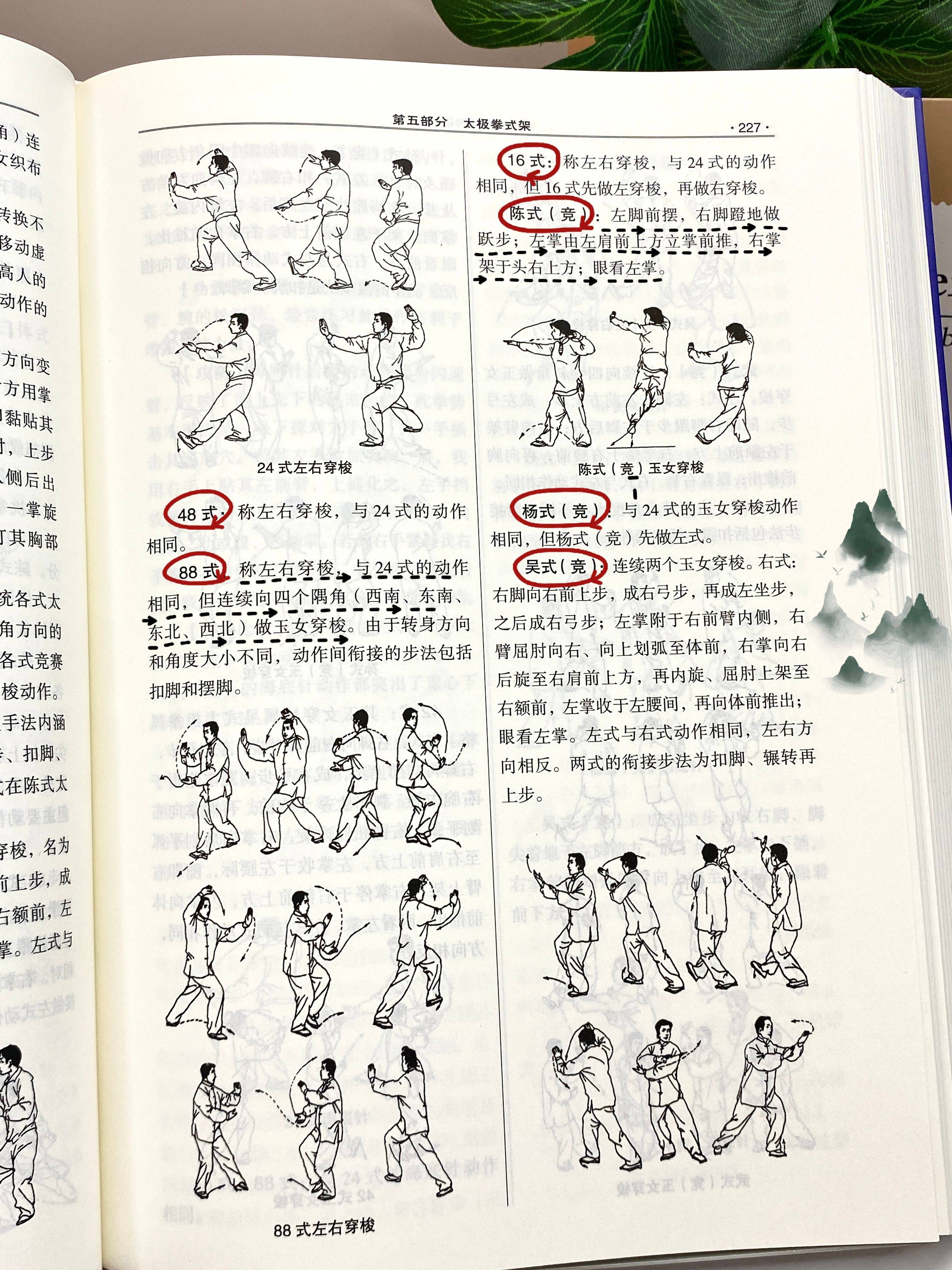 玉女穿梭"这一招式,其动作特征在于四个斜角上连续不断,循环往复的