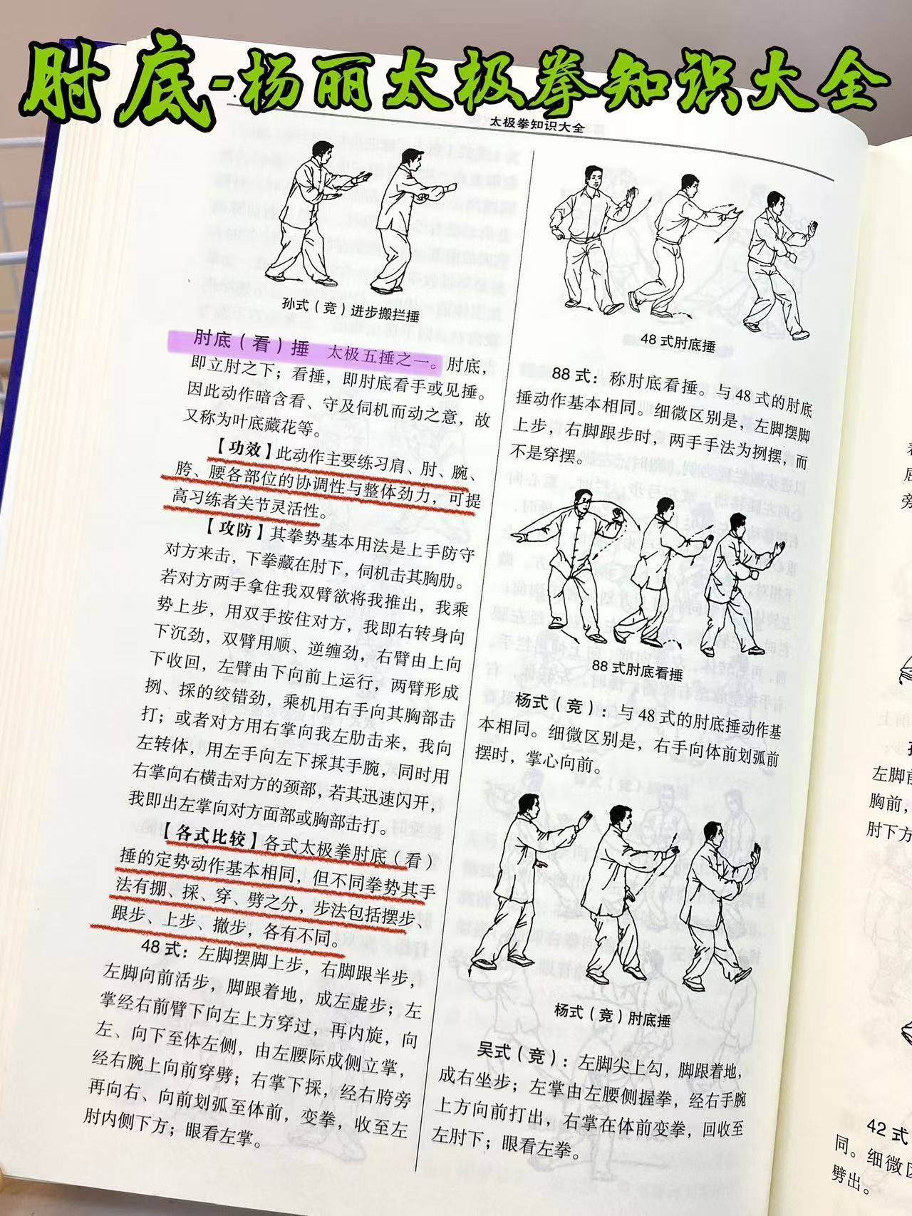 养生太极掌第二套背向口令张广德(养生太极掌第二套分解教学张广德)