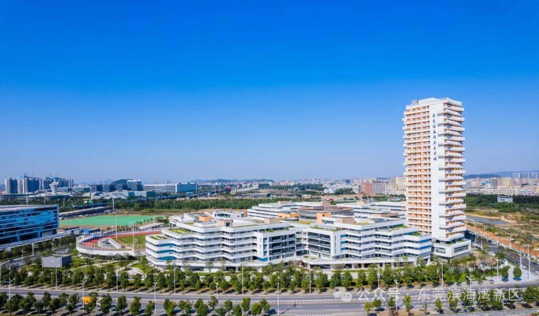 滨海湾：从地标到产业，传统剪纸中的现代画卷，AI“剪”出滨海湾新区：春节游玩新去处