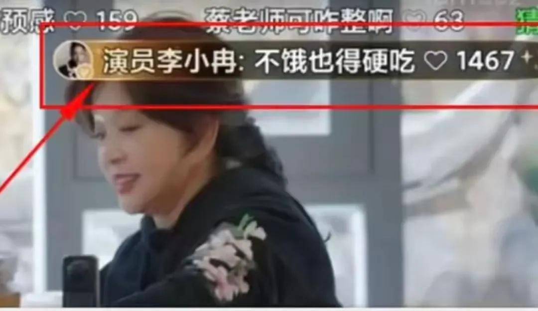 娱乐圈纷争：向太倪萍李小冉事件的深度剖析 娱乐圈风波：向太、倪萍、李小冉事件全解析
