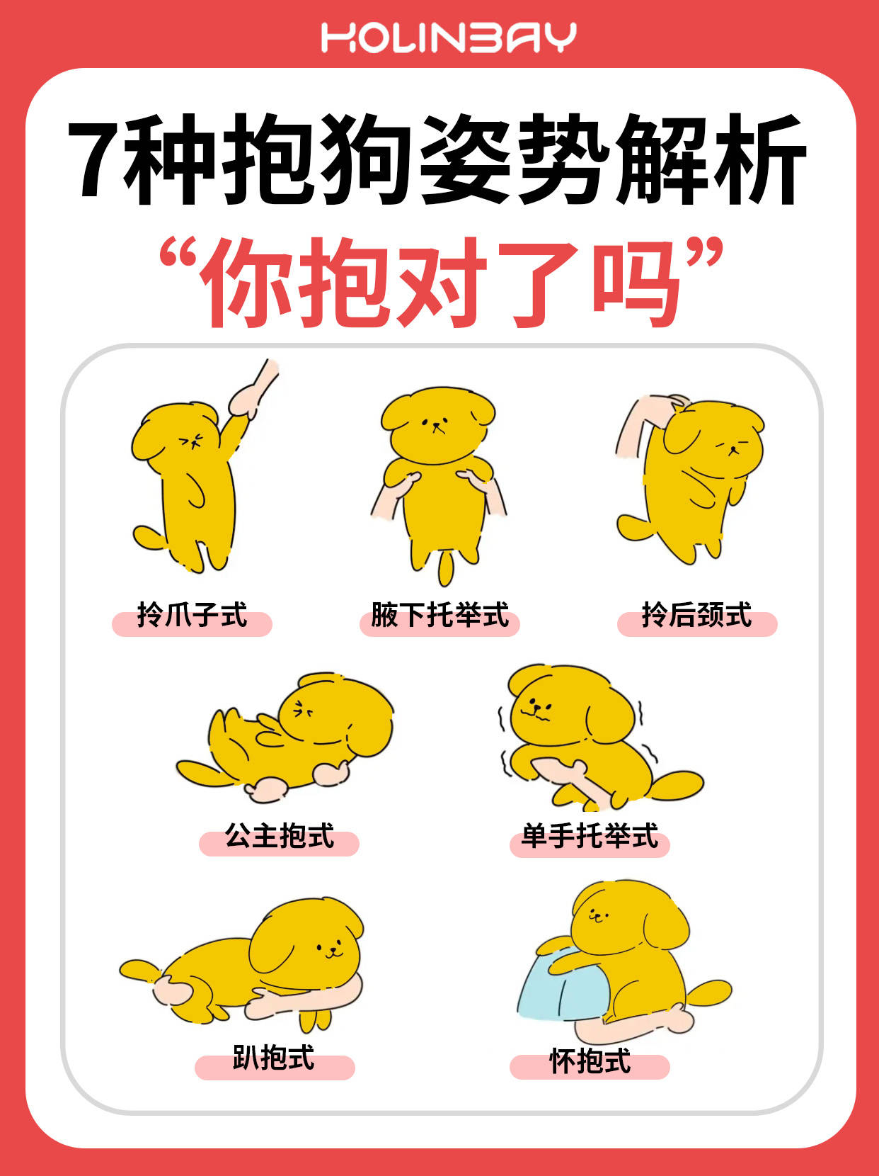 红绫大白丨7种抱狗姿势解析