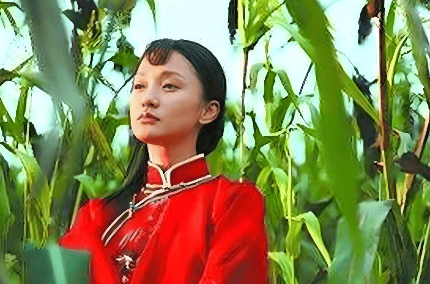 《红高粱》:生命狂欢民族气节的颂歌