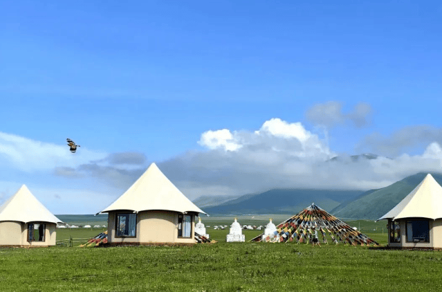 拥抱自然,在阿米贡洪牧场探寻牧歌的悠扬!