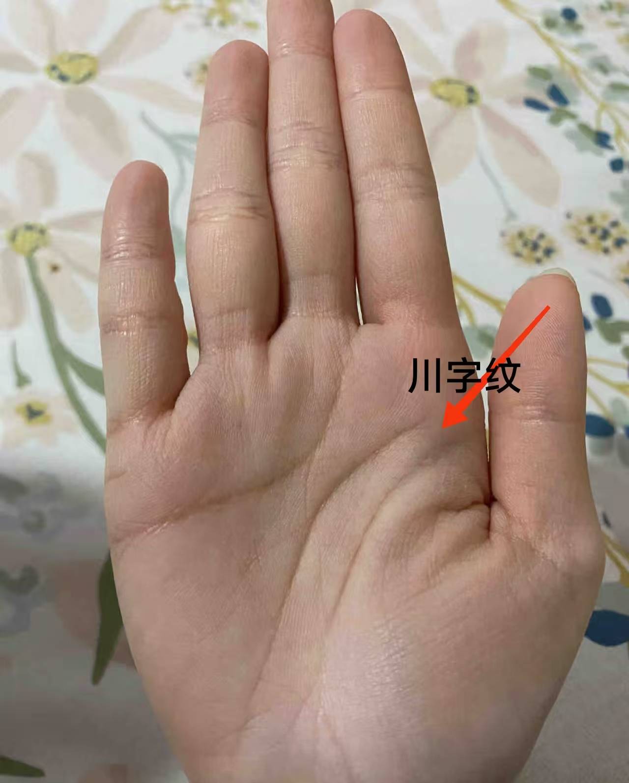 川字纹手相,对运势的利弊讲解!