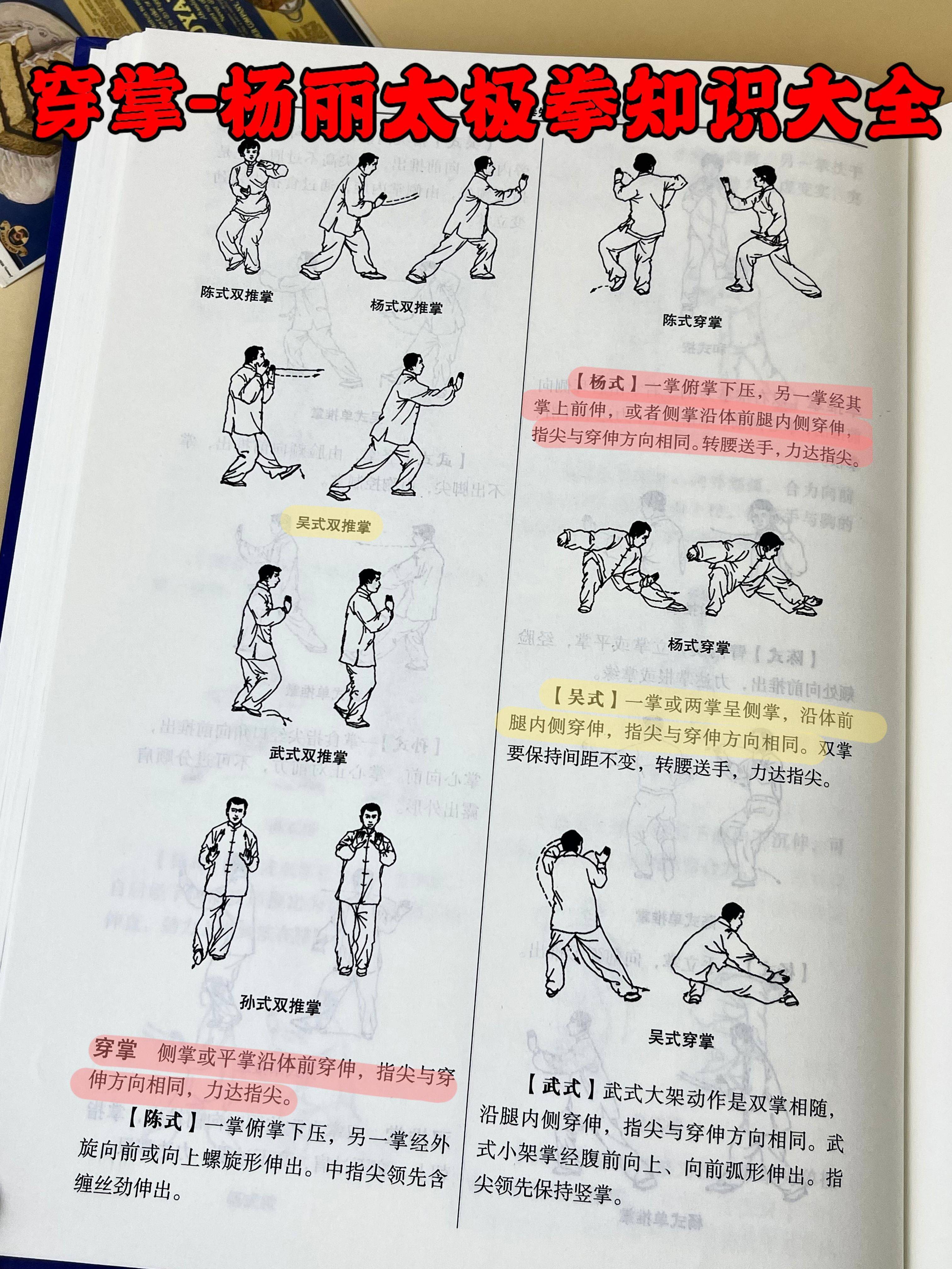 养生太极掌第三套演练(正面)(第三套太极掌教学视频)