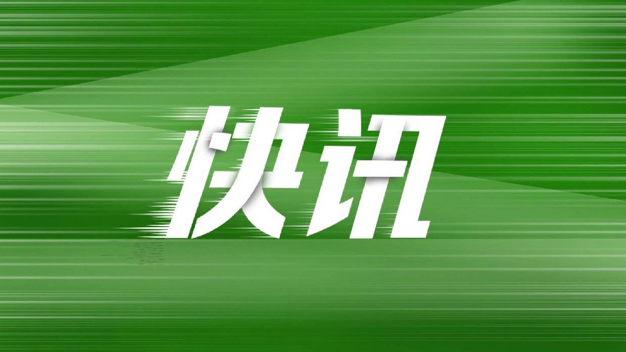 阿特斯董事长发声：光伏行业 “黑暗森林” 时代，专利不应成恶意竞争工具