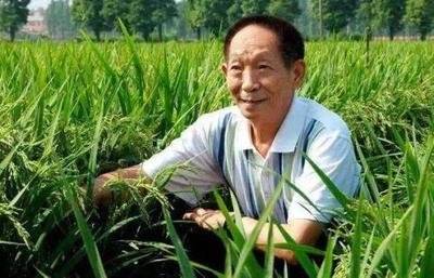每日一个时代先锋 今日讲讲 "世界杂交水稻之父" 袁隆平