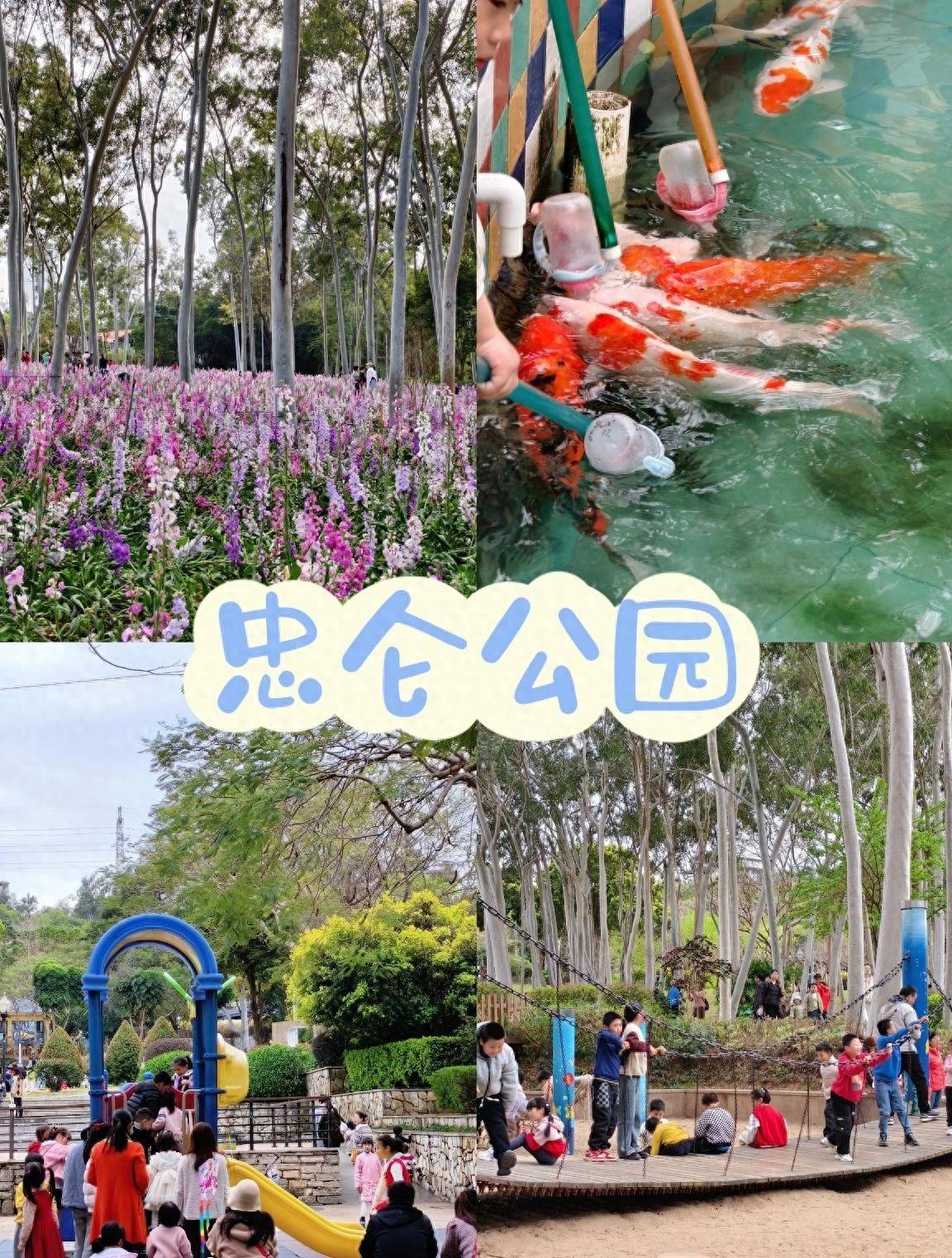 厦门忠仑公园,山林野趣,四季花海,是厦门最大的综合性城市公园