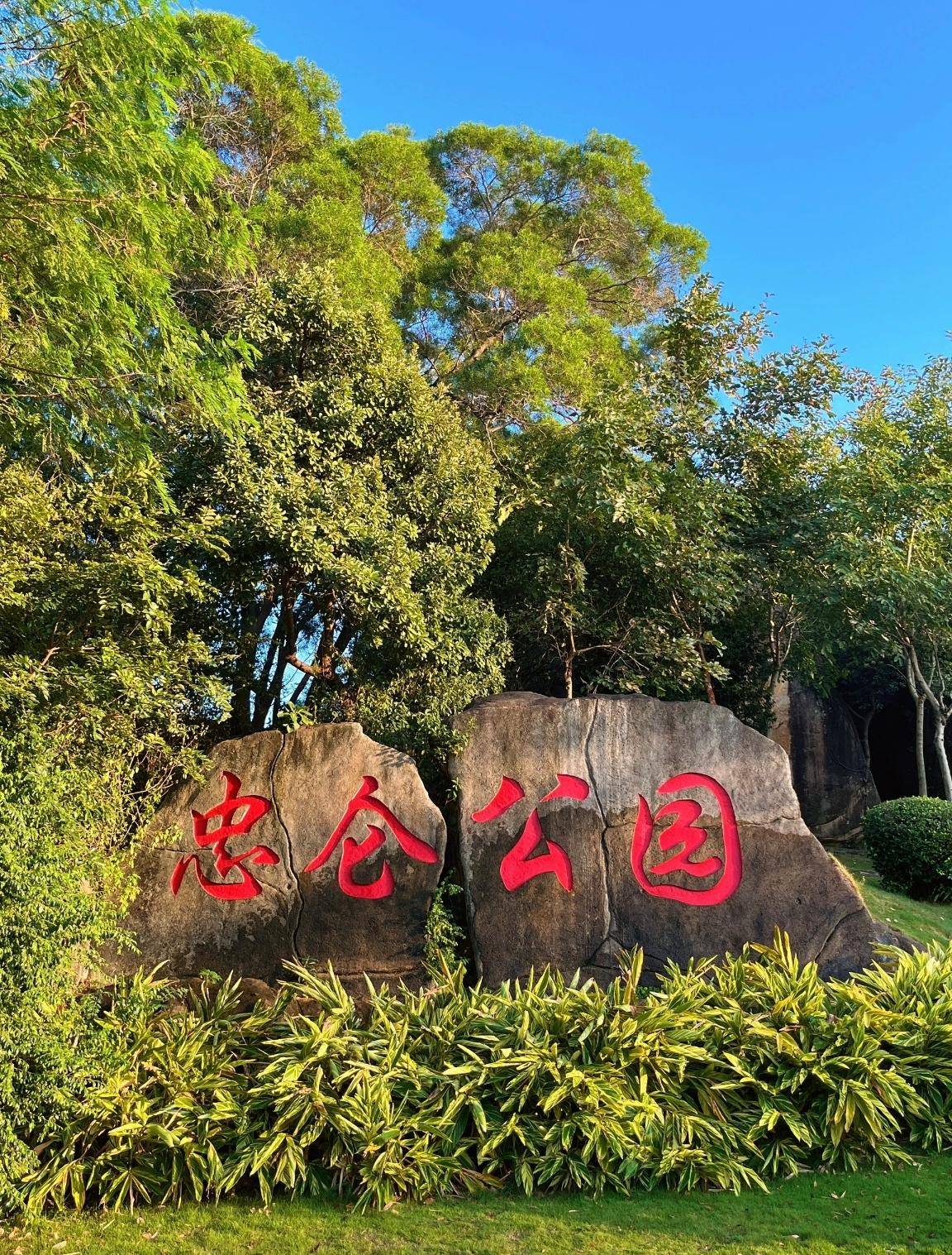 厦门忠仑公园,山林野趣,四季花海,是厦门最大的综合性城市公园