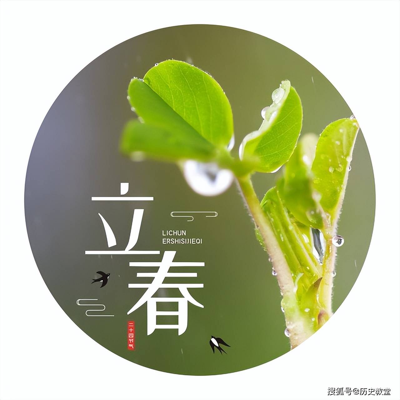 一年两个春，寡妇遍地分”，是什么意思？2025刚好双春_搜狐网