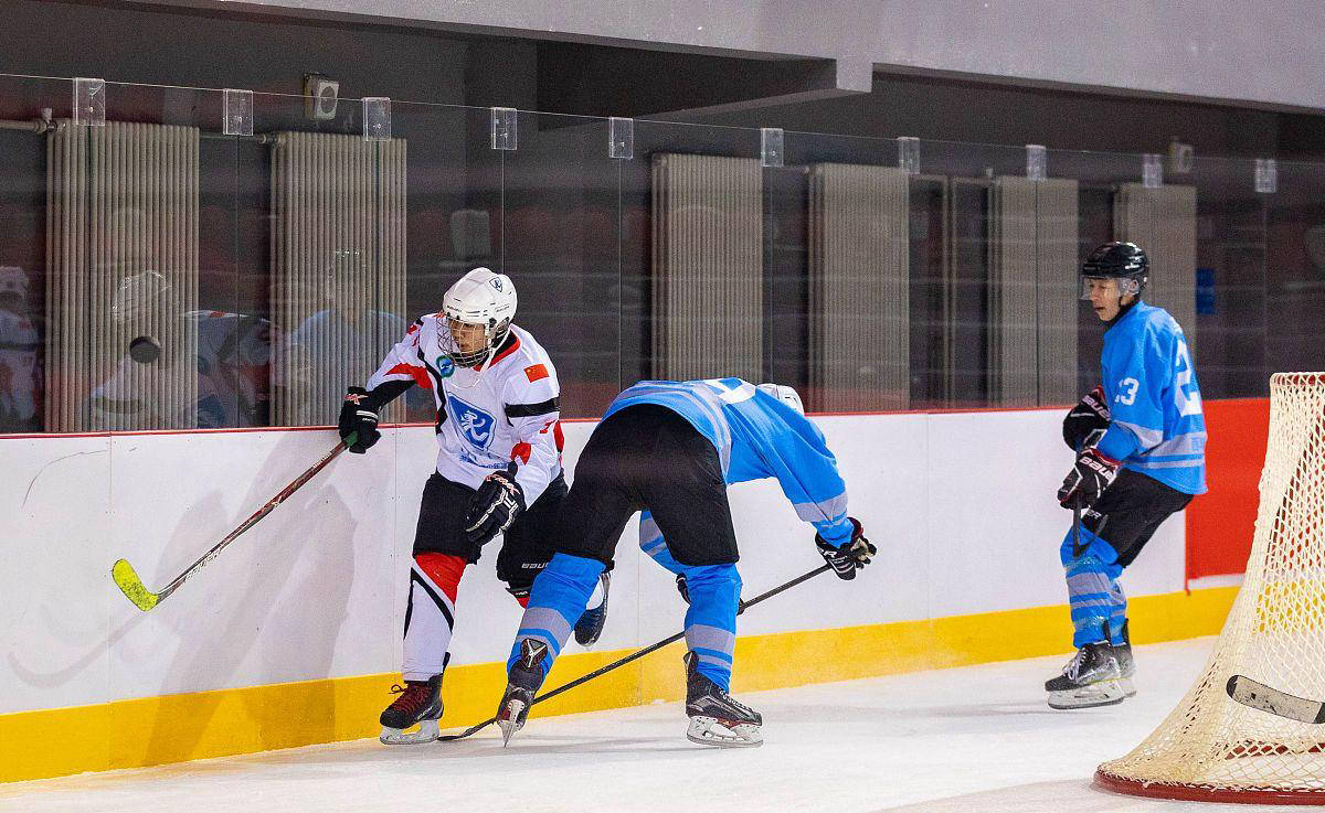 冰球队员数量及比赛规则介绍_搜狐网