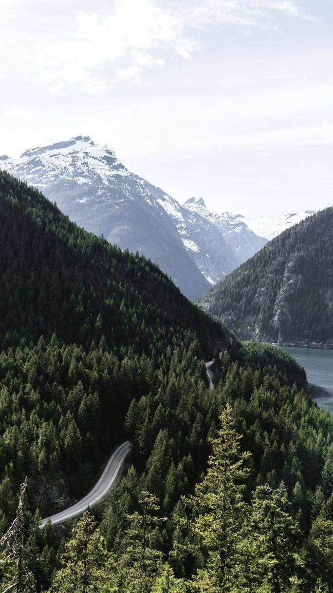 重庆树莓摄影学校拍照构图技巧