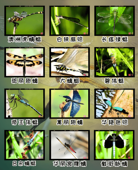 �������ּ�ͼƬ��ȫ���������ּ�ͼƬ��ȫ��ͼ