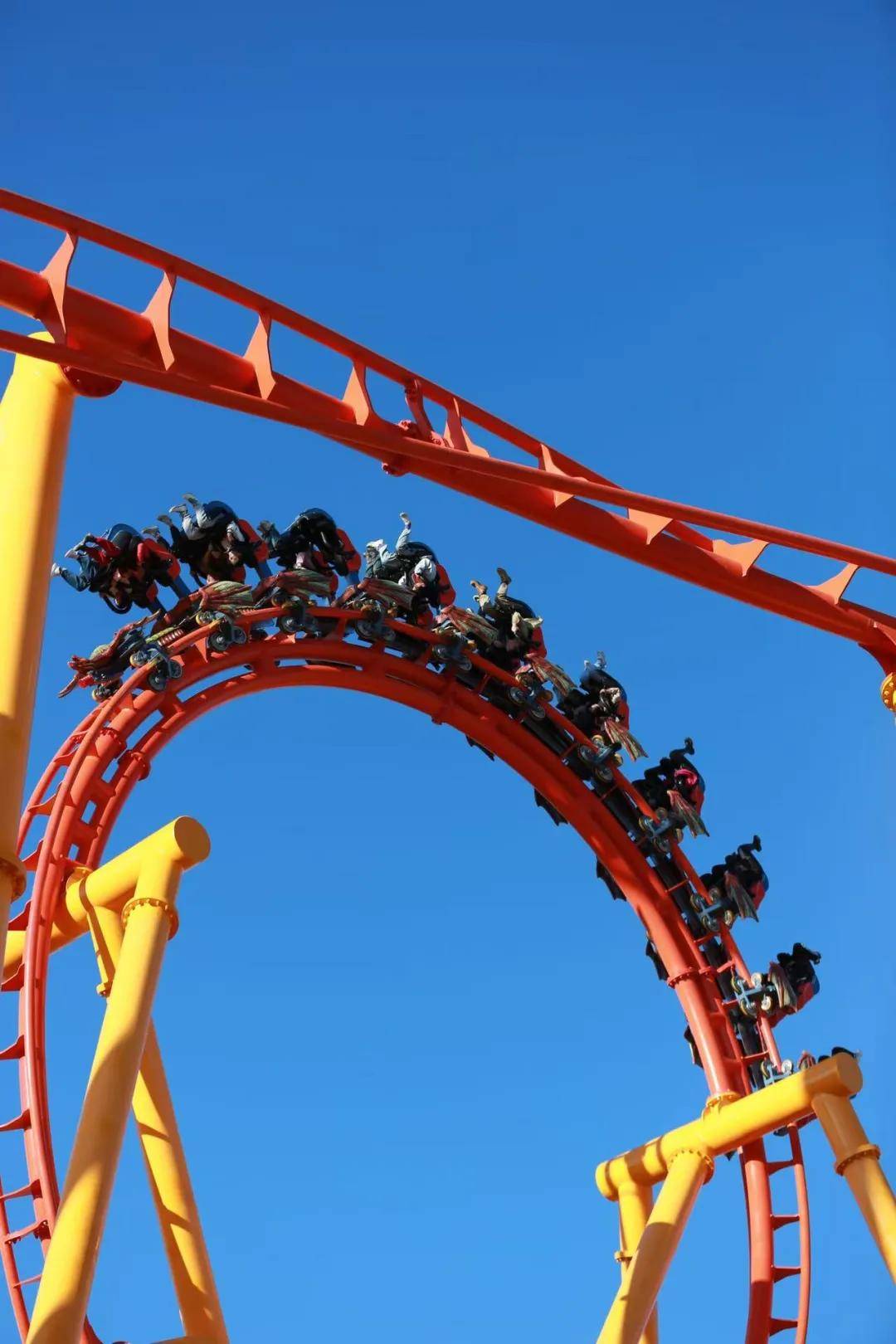 就在长影世纪城