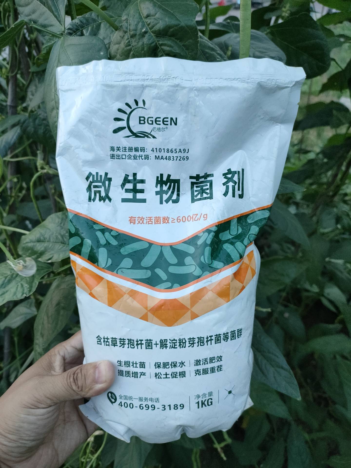 生物菌剂：现代农业的绿色守护者