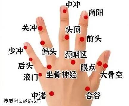 包含五指看健康的词条 包罗
五指看康健
的词条（包罗五指看康健的词条是什么） 健康