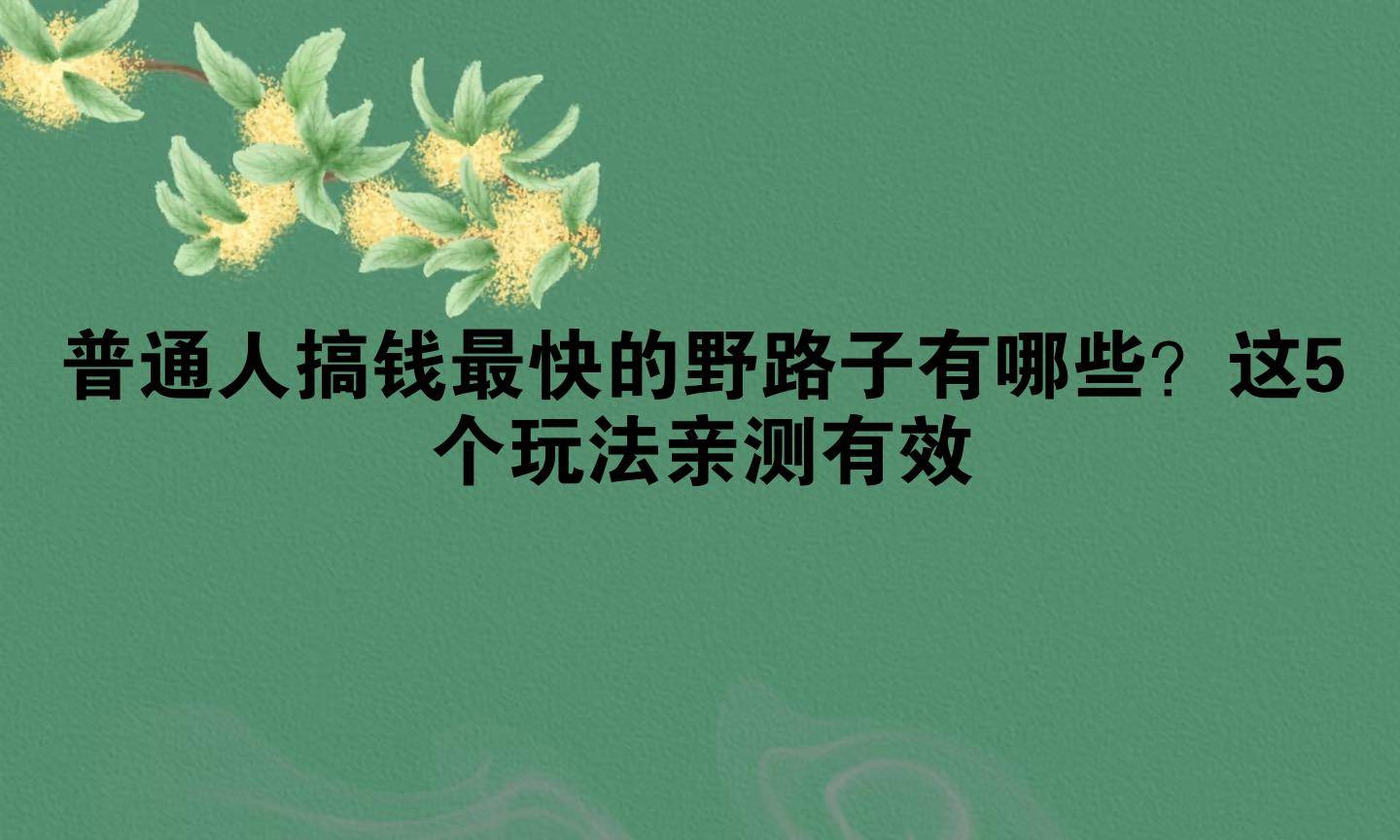 有什么野路子可以马上搞到钱(有什么野路子可以马上搞到钱呢)