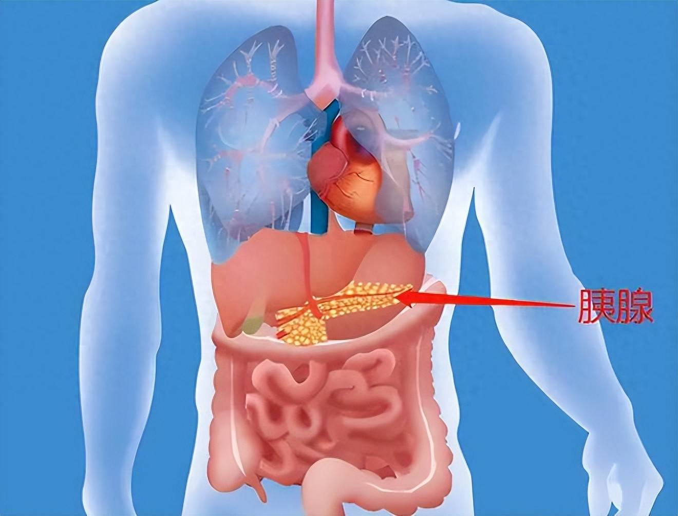 四种零食在偷偷"摧毁"你的胰腺,医生忠告:不管男女,都要少吃