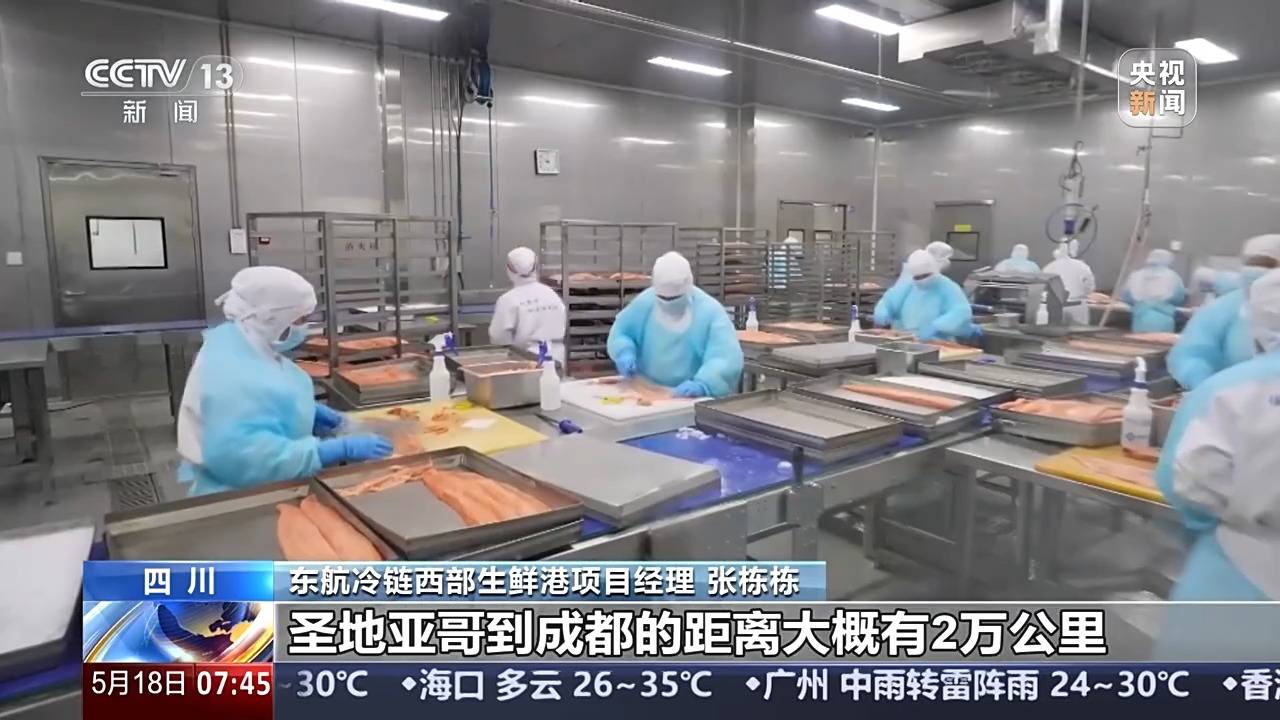冷链物流市场规模Up 智利三文鱼48小时可抵成都市民餐桌