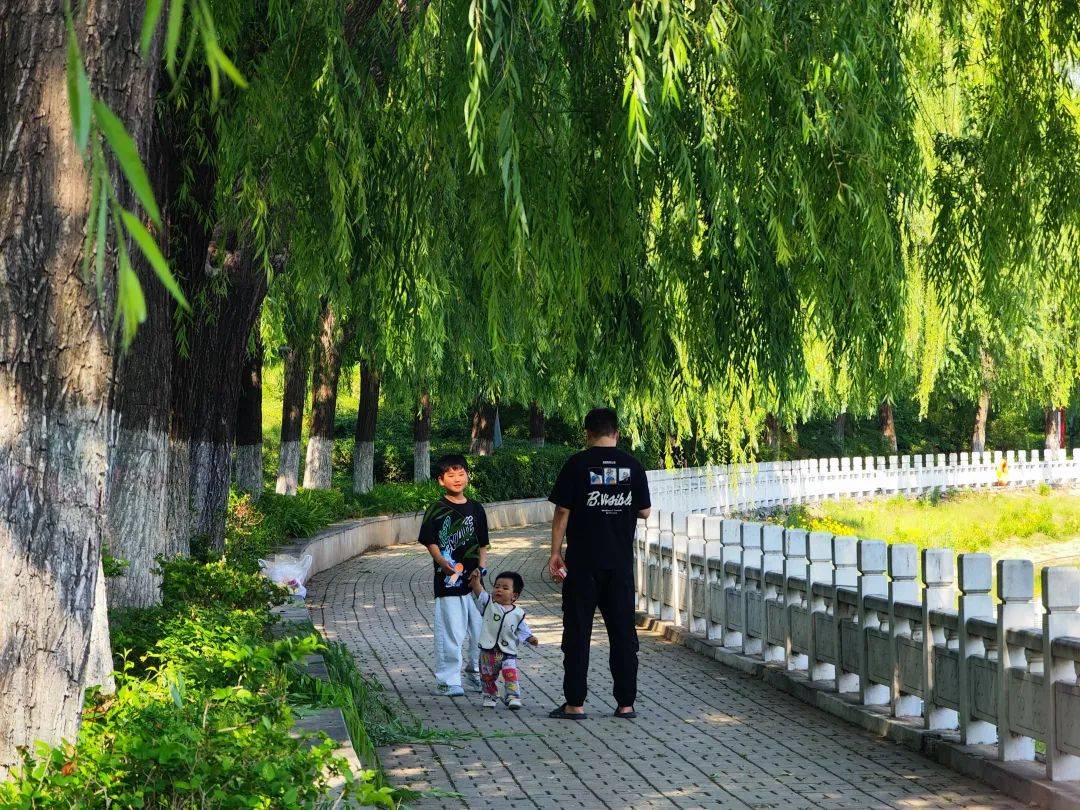 郑州兰河公园:一条玉带穿绿廊,透风,透光,清静,清凉