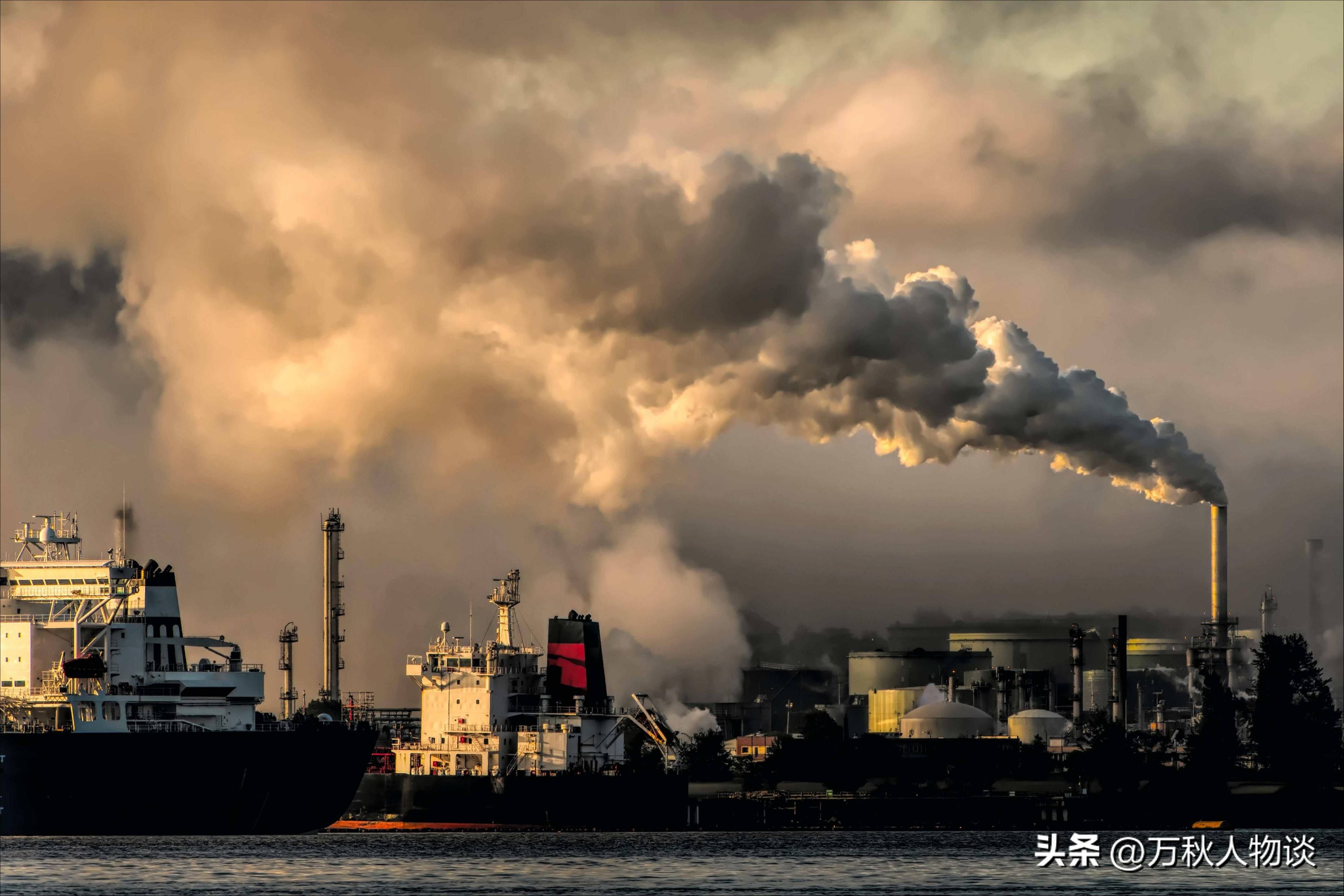 城市绿化植物越来越多,它们的空气净化功能有多强大