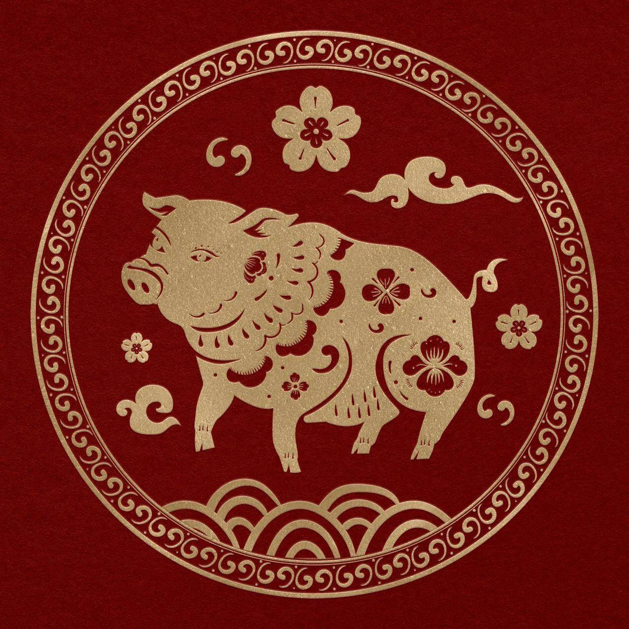 冬月猪生肖运势怎么样呢(冬月出生属猪的人命运如何)
