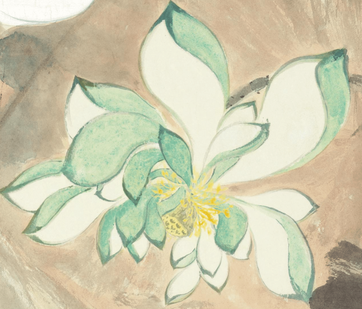 _五色荷花寓意_五色荷花图