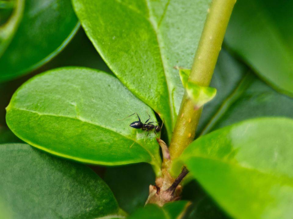 618值得入手的四款性价比好物分享，喜欢可以直接抄作业！