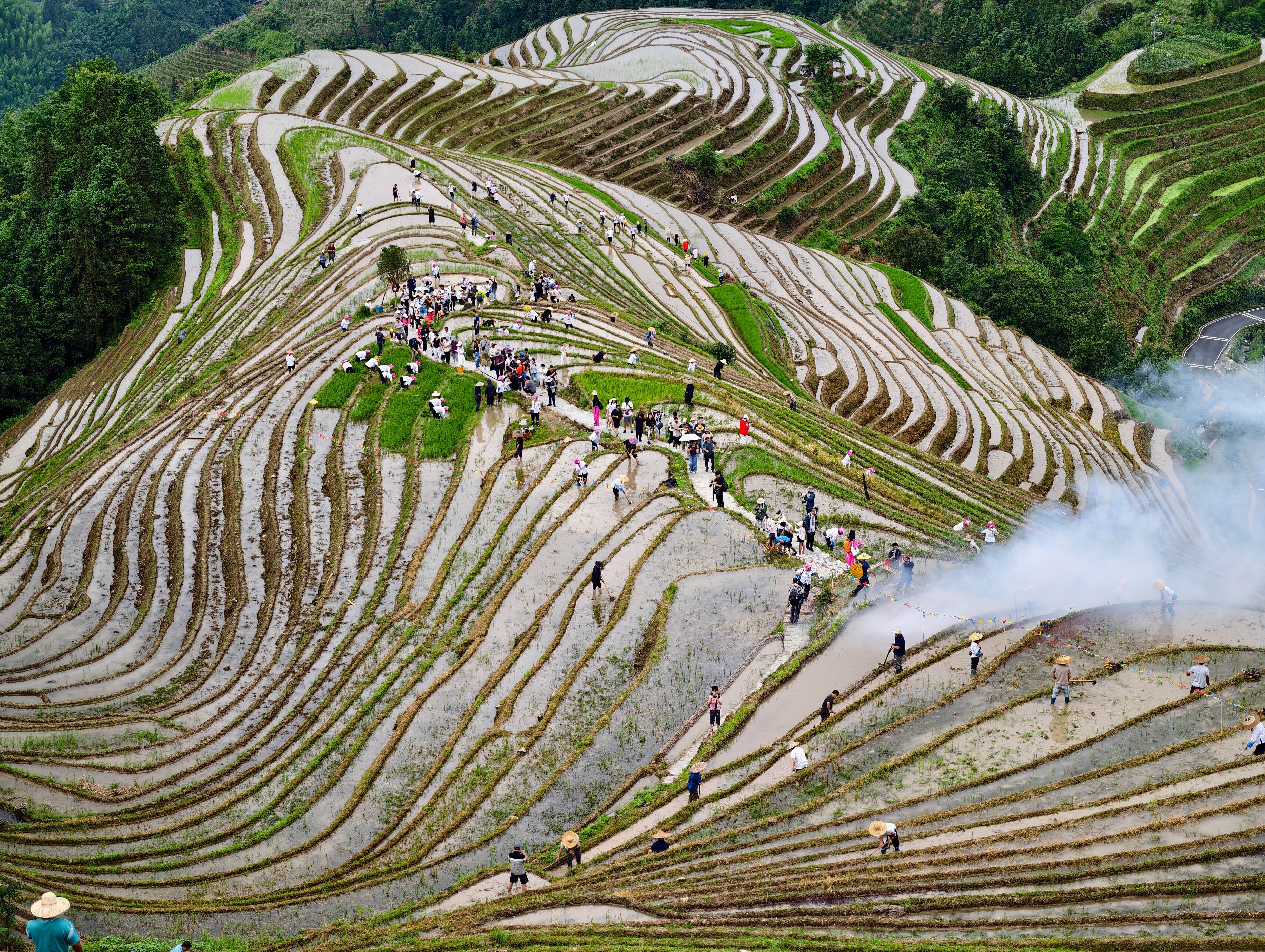 龙脊梯田梳秧节5g直播解锁千年农耕民俗