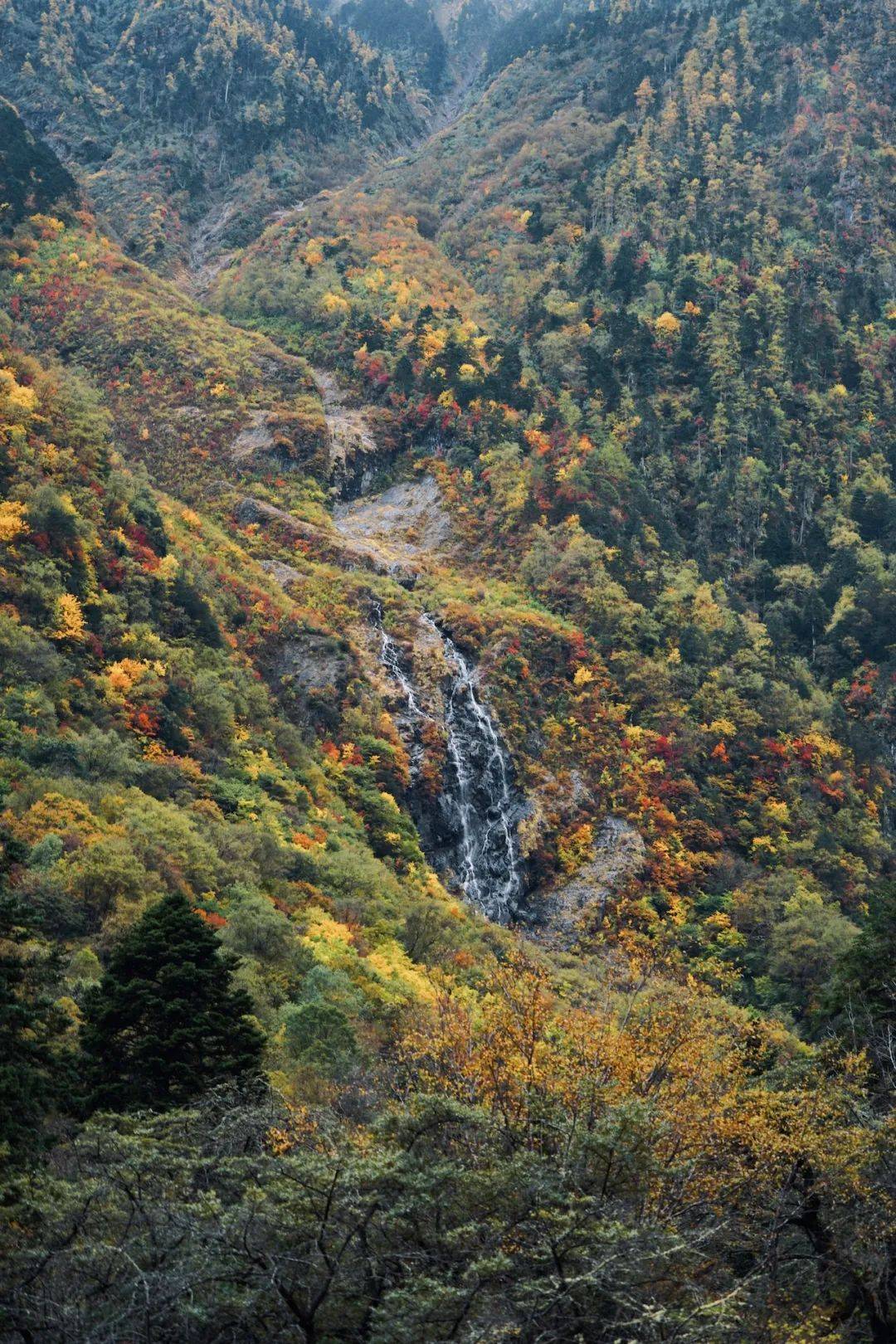 _梅里雪山脚下的雨崩村：近距离感受神山，徒步和自然爱好者的天堂_梅里雪山脚下的雨崩村：近距离感受神山，徒步和自然爱好者的天堂