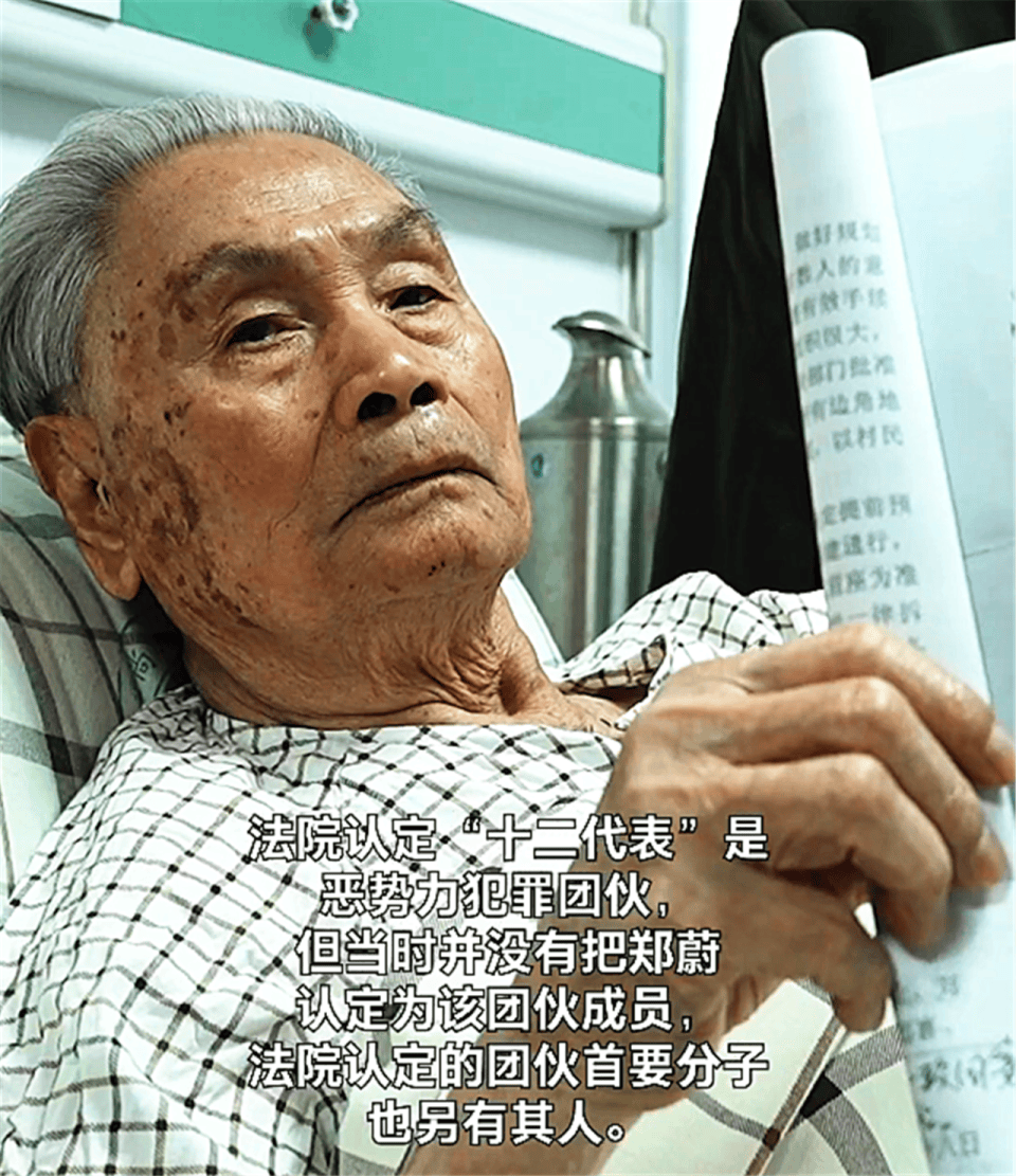 参加过解放战争的老兵,被法院认定为恶势力团伙首要分