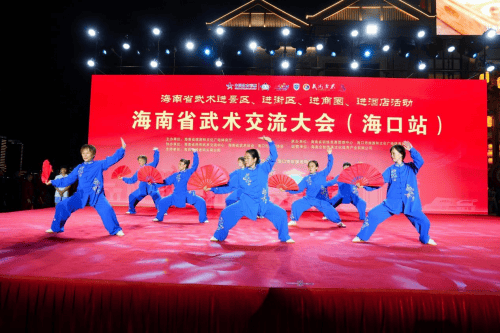 _海南省武术锦标赛_海南武术协会会长