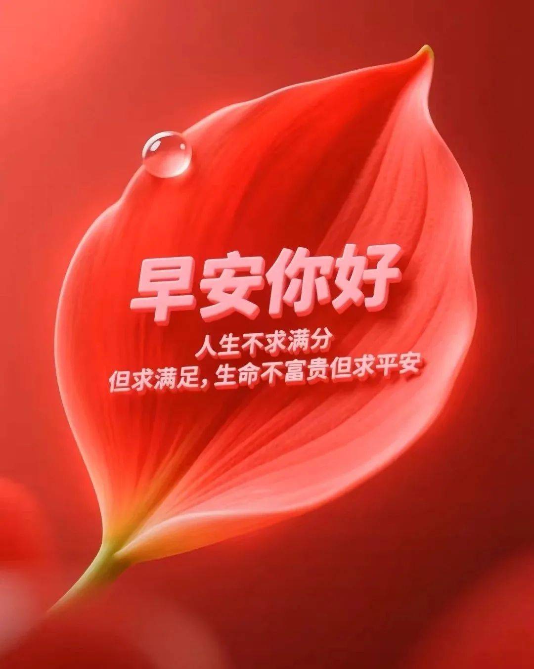 11张早安早上好唯美图片:问候暖暖,祝福满满,多保重,祈平安,幸福快乐