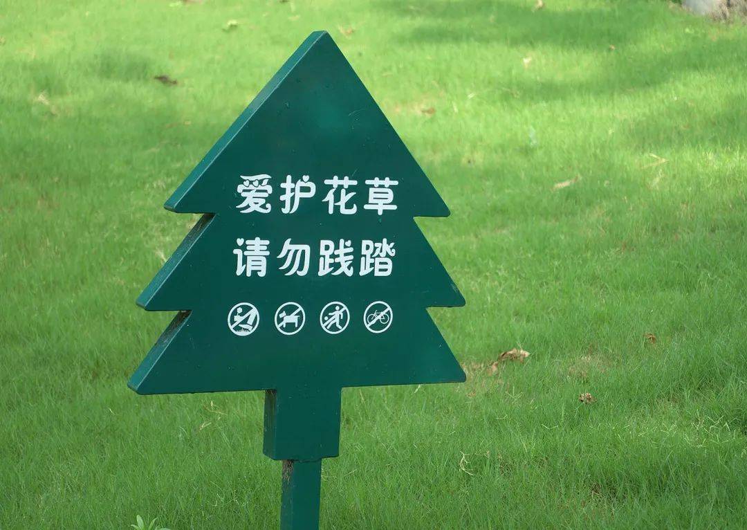 树木会定期消杀喷药,请家长告知小朋友们勿攀爬摘采果实,爱护花草树木
