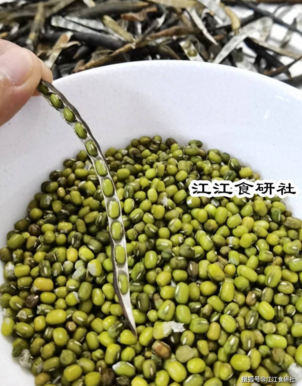 原创            绿豆搭配这宝，少跑医院！一祛湿，二消暑，三补水降低胆固醇