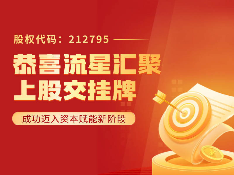 武汉流星汇聚公司怎么样？跨境电商行业领航者，挂牌企业有保障