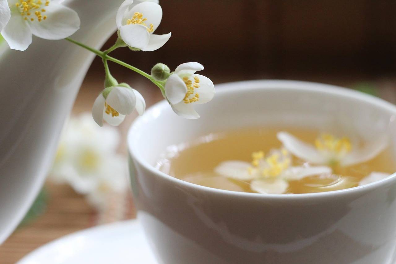 三款茶饮清湿热、健脾祛湿养心神