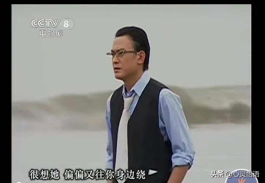 《意难忘》:一部承载时代记忆与情感纠葛的经典剧作