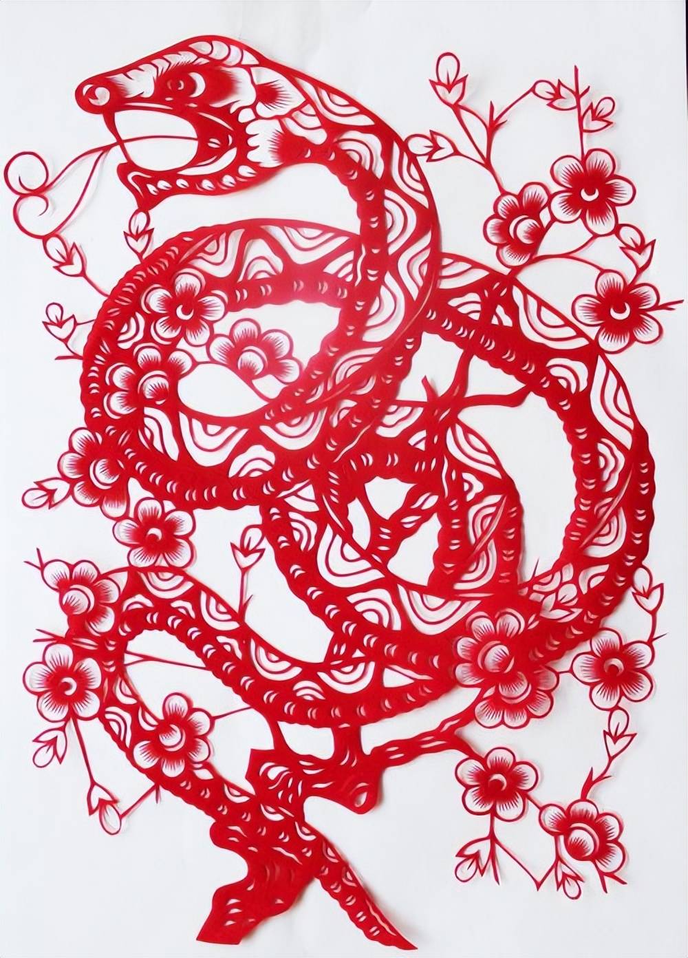 清风徐来生肖运势(清风徐来是什么生肖)