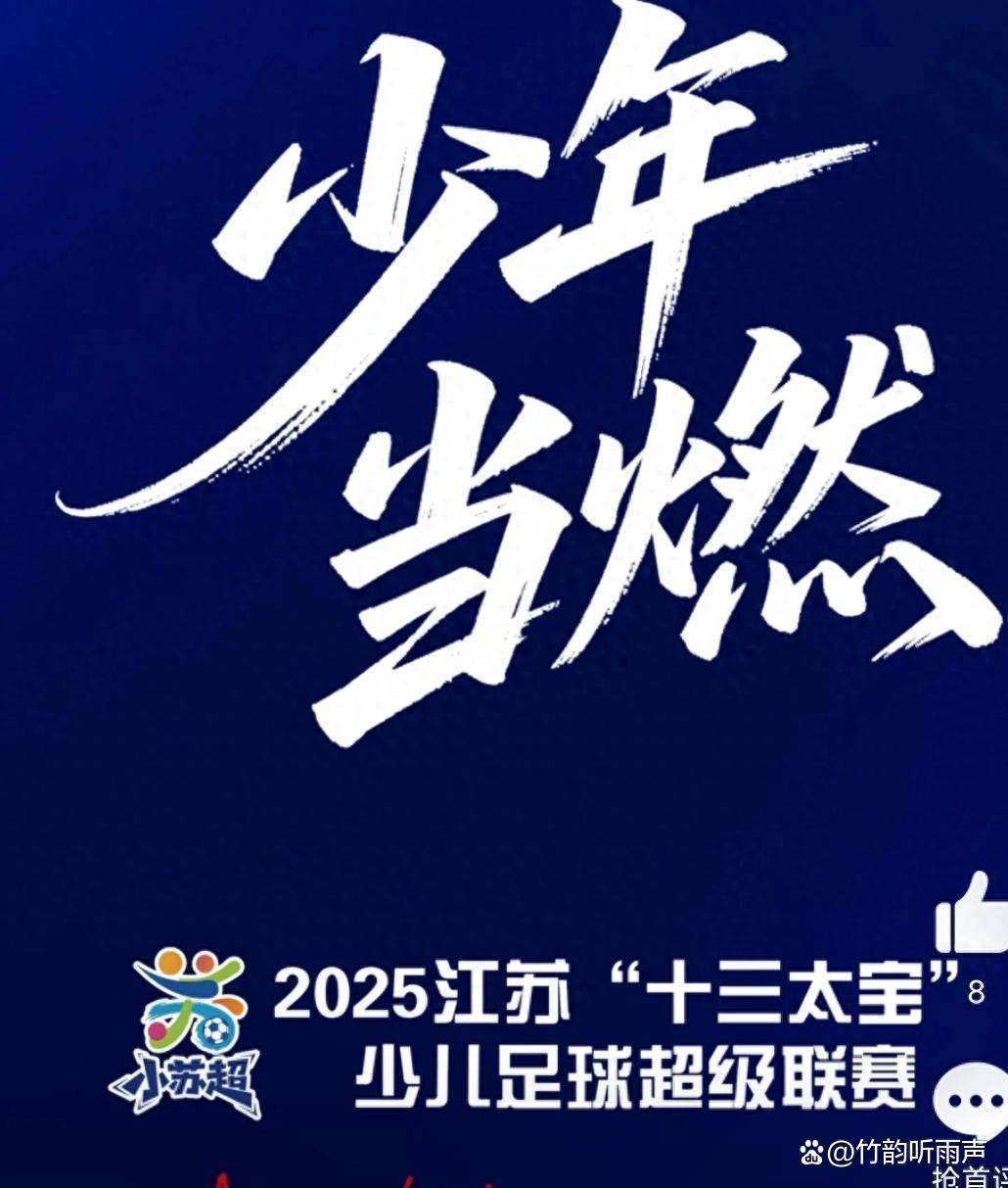 2025江苏少儿足球联赛：十三城小将绿茵场上的激情对决