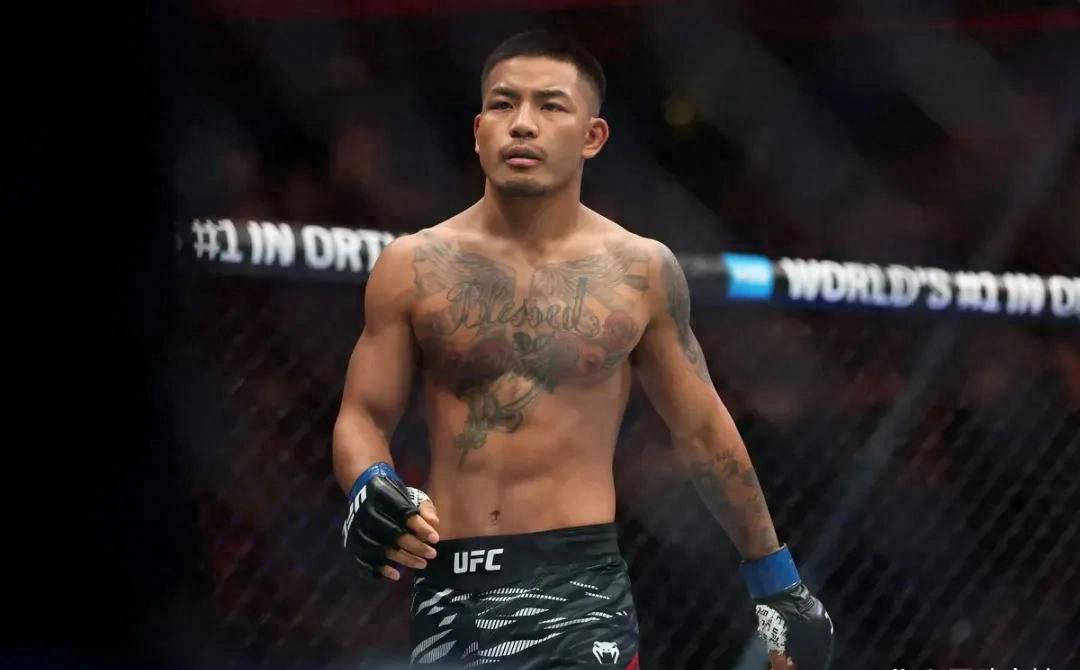 约书亚·范：UFC新星崛起，击败蝇量级头名罗伊瓦尔