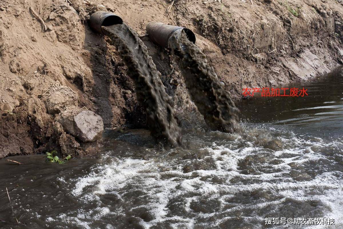 微生物技术助力治理畜禽养殖污染,用 "一场一策" 解决养殖场臭味,粪污