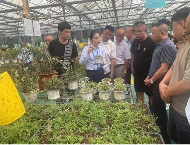 湖北省校车协会考察团六安行：交流经验，赋能校车服务升级 